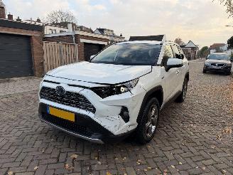 Toyota Rav-4 2.5 Hybrid AWD Executive NAP picture 2