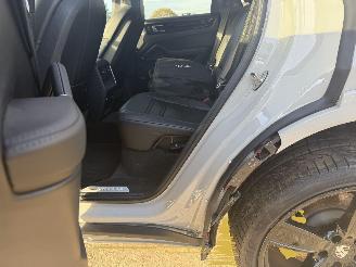 Porsche Cayenne E-HYBRID SPORT picture 38