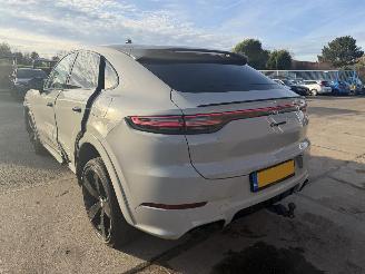 Porsche Cayenne E-HYBRID SPORT picture 25