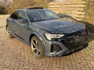 Audi SQ8 QUATTRO SPORTBACK E TRON 370 KW picture 11