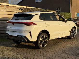 Cupra Terramar VZ 1.5 eTSI 110kw picture 12