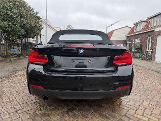 BMW 2-serie 218i M PAKKET CABRIO picture 8