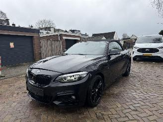 skadebil auto BMW 2-serie 218i M PAKKET CABRIO 2018/1