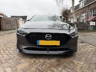 Mazda 3 2.0 e-SkyActiv-X M Hybrid 186 Luxury picture 17