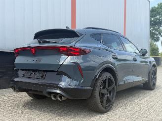 Cupra Formentor 2.0 VZ 245 KW AKRA  PANO SFEER picture 5