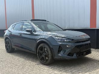 Damaged car Cupra Formentor 2.0 VZ 221 KW PANO SFEER 2025/1