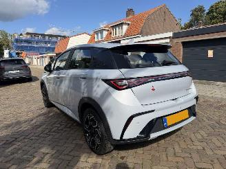 BYD Dolphin Comfort 60.4 kWh NAP picture 16