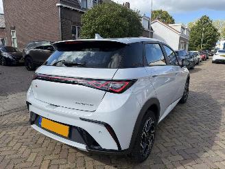 BYD Dolphin Comfort 60.4 kWh NAP picture 9