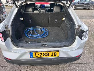 Ford Mustang Mach-e EXTENDED RWD 98 KWH / PANO picture 16