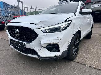 MG  1.5 MG ZS & ZS Hybrid+ ZS32 picture 19