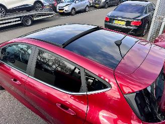 Ford Fiesta 1.0 EcoBoost / Panorama dak / picture 7