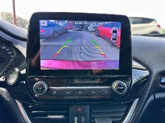 Ford Fiesta 1.0 EcoBoost / Panorama dak / picture 13