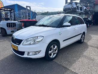 Unfallwagen Skoda Fabia 1.2 TDI GREENLINE 2012/8