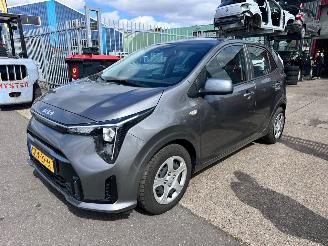  Kia Picanto 1.0 DPI DYNAMICLINE 2024/12