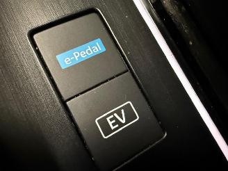 Nissan Qashqai PANORAMA picture 12