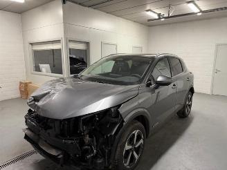 Nissan Qashqai PANORAMA picture 2