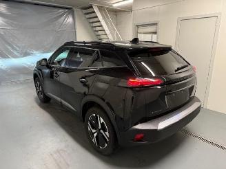 Peugeot 2008  picture 6