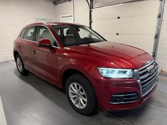 Avarii autoturisme Audi Q5  2019/4