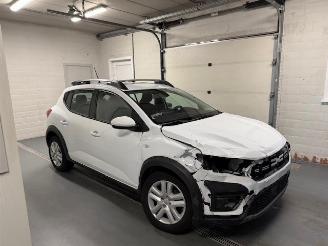 krockskadad bil auto Dacia Sandero PANORAMA 2023/11