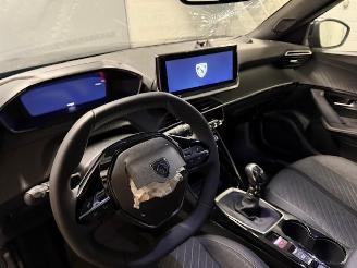 Peugeot 2008  picture 9