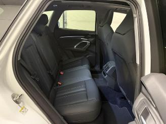 Audi Q5 LUFTFEDERUNG SOUND BANG&OLUFSEN picture 19