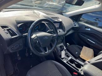 Ford Kuga 1.5TDCI Titanium  2019 picture 16