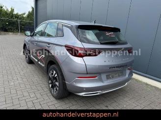 Unfallwagen Opel Grandland X PHEV 165KW Hybrit 2023/11