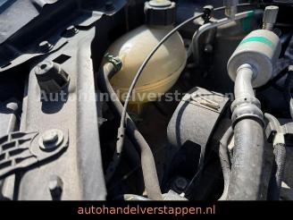 Dacia Sandero II Stepway Celebration picture 10