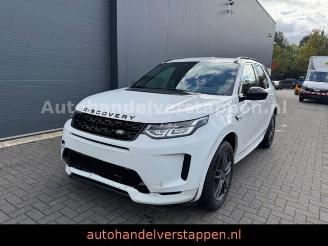 Auto incidentate Land Rover Discovery Sport D165 R-Dynamic S AWD 2022/9