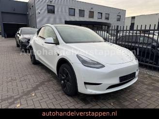 Schadeauto Tesla Model Y RWD 255KW Pano Leder FULL LED 2024/7