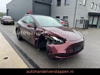 Tesla Model Y Long Range Dual AWD Panorama picture 8