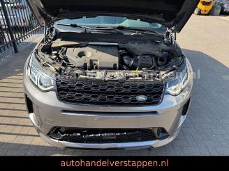 Land Rover Discovery Sport R-Dynamic S Leder Navi Panorama picture 9