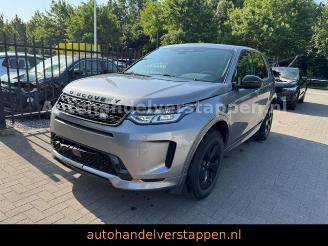 Auto incidentate Land Rover Discovery Sport R-Dynamic S Leder Navi Panorama 2022/7