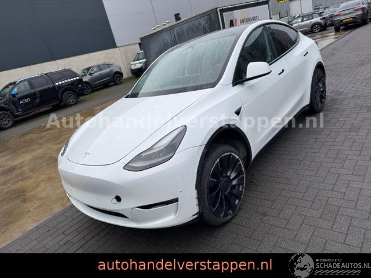 Tesla Model 3 Model Y Performance Dual AWD 393KW