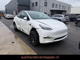 Tesla Model 3 Model Y Performance Dual AWD 393KW picture 4