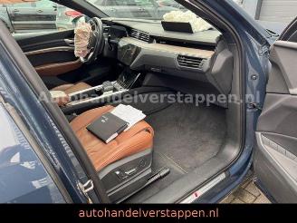 Audi Q8 e-tron 55 Quattro S line Panorama picture 23
