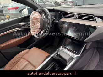 Audi Q8 e-tron 55 Quattro S line Panorama picture 41