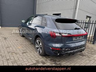 Audi Q8 e-tron 55 Quattro S line Panorama picture 24