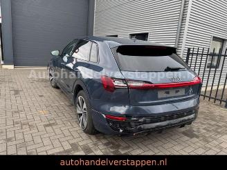 Audi Q8 e-tron 55 Quattro S line Panorama picture 6