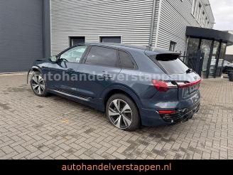 Audi Q8 e-tron 55 Quattro S line Panorama picture 21