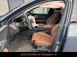 Audi Q8 e-tron 55 Quattro S line Panorama picture 36