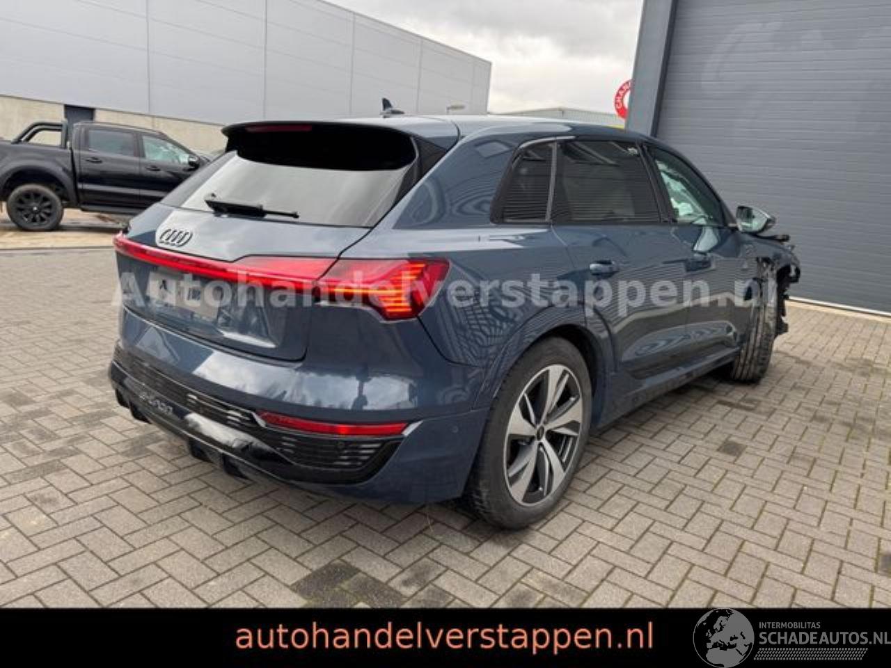 Audi Q8 e-tron 55 Quattro S line Panorama