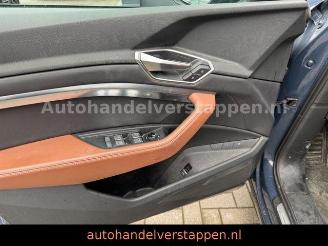 Audi Q8 e-tron 55 Quattro S line Panorama picture 19