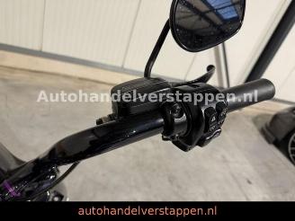 Harley-Davidson Road King Special - Krugger picture 18