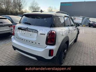 Mini Countryman COOPER DAB+ picture 8