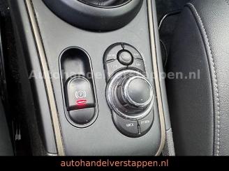 Mini Countryman COOPER DAB+ picture 12