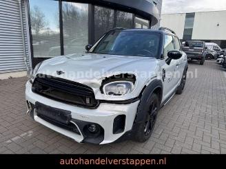 Mini Countryman COOPER DAB+ picture 6