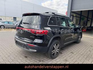 Mercedes EQB 300+ 4Matic 168KW Progressive Panorama FULL picture 4