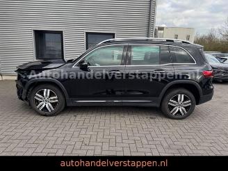 Mercedes EQB 300+ 4Matic 168KW Progressive Panorama FULL picture 7