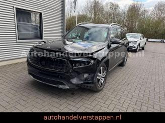 Mercedes EQB 300 4Matic 168KW Progressive Panorama FULL picture 2